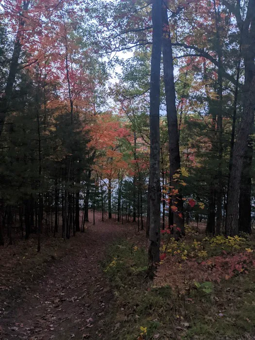 Whelan Lake Area Picture 9