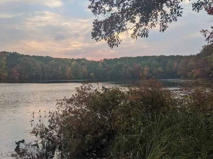 Whelan Lake Area Picture 10