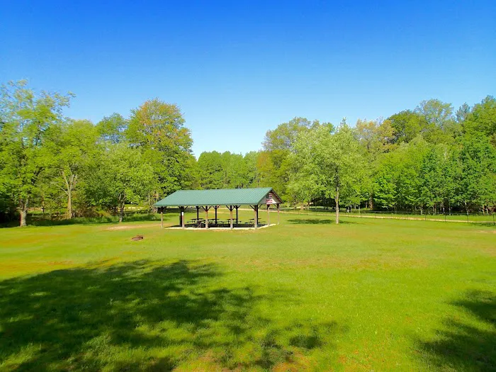 Ludington East / Pere Marquette River KOA Holiday Picture 3