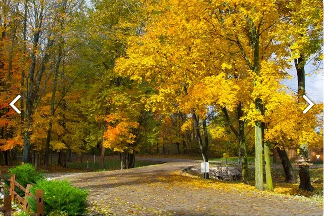 Terre Haute Campground Picture 7