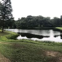 Temple Hills ico