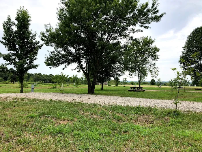 Miles Landing Campground Picture 5