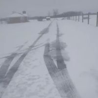 Albany KY ico