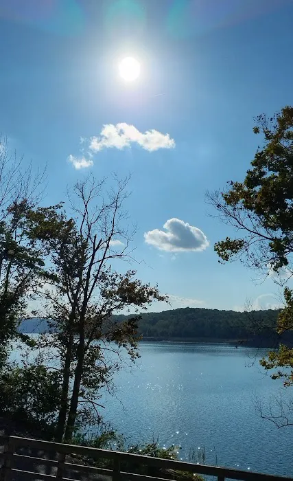 U.S. Army Corps of Engineers Fall Creek Campground Picture 5