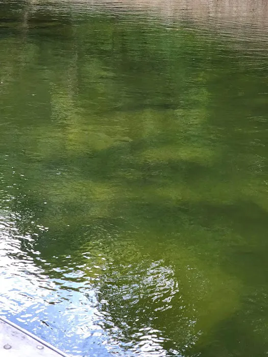 U.S. Army Corps of Engineers Fall Creek Campground Picture 8