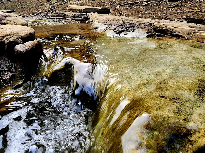 U.S. Army Corps of Engineers Fall Creek Campground Picture 9