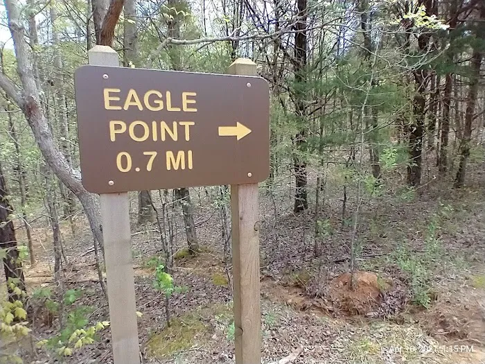 Dale Hollow State Park Campground Picture 9