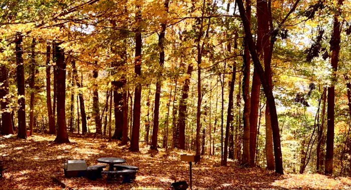 Dale hollow domes Picture 9