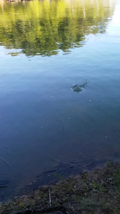 The Narrows Picture 8