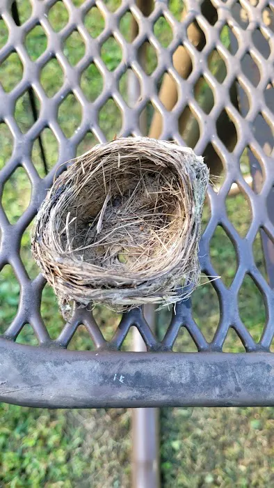 Gays Creek Campground Picture 10