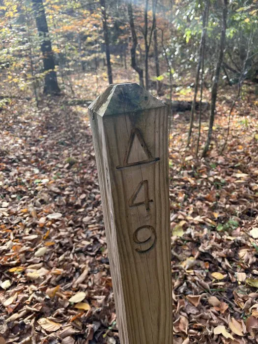 Backcountry Campsite #49 Picture 2