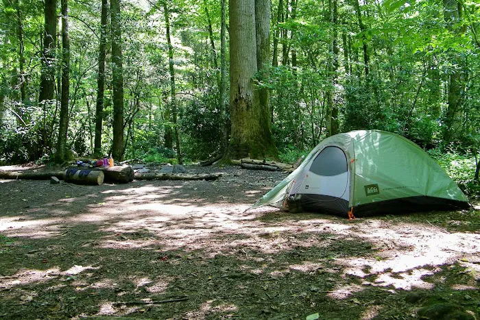 Backcountry Campsite #49 Picture 1