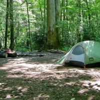 Backcountry Campsite #49 ico