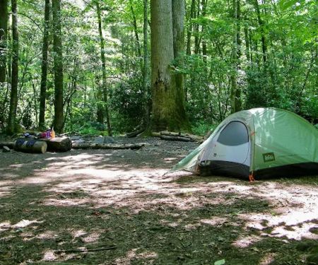 Backcountry Campsite #49