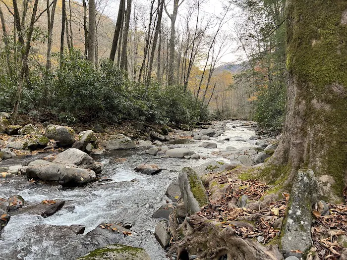 Backcountry Campsite #49 Picture 3