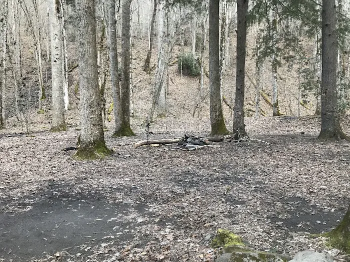 Backcountry Campsite #49 Picture 4