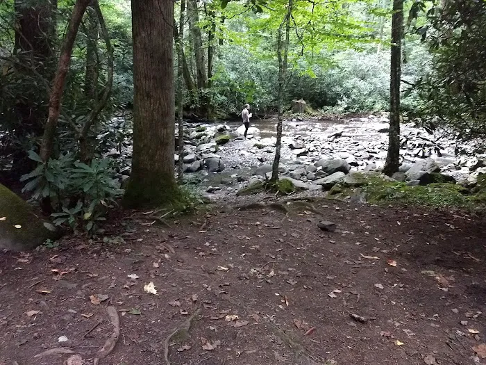 Backcountry Campsite #49 Picture 6