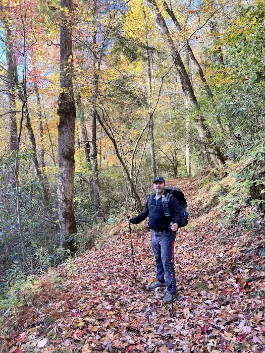 Backcountry Campsite #49 Picture 5