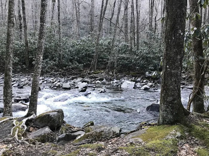 Backcountry Campsite #49 Picture 8