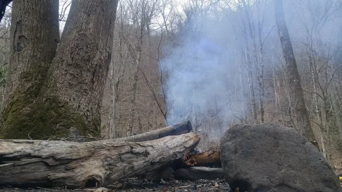 Backcountry Campsite #49 Picture 9