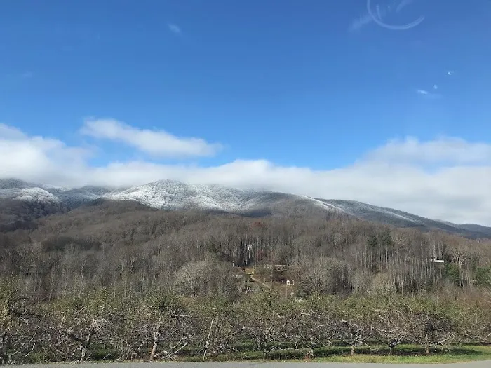 Cabin Flats Trail Picture 3