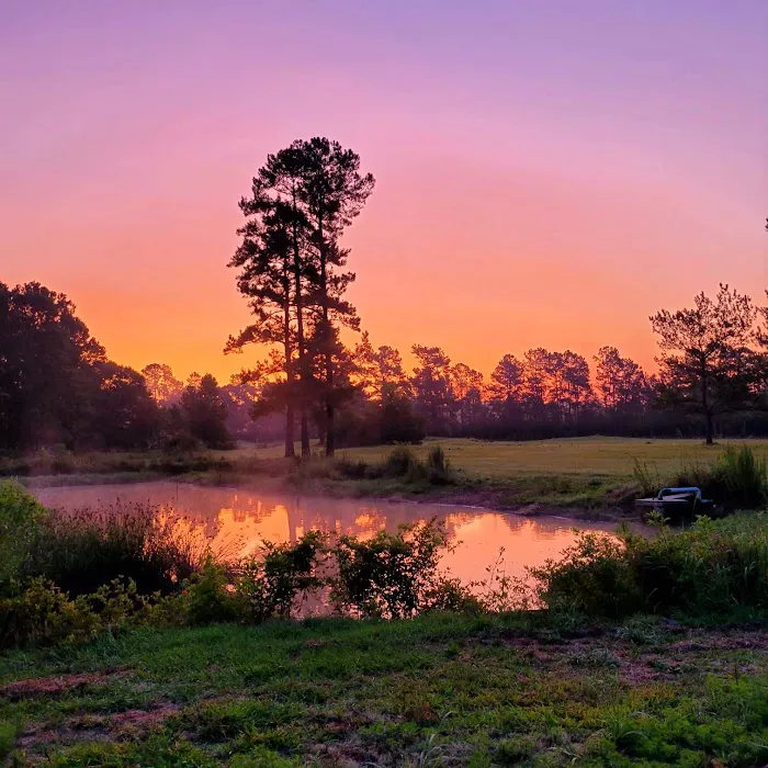 Elysian Fields Park Picture 3