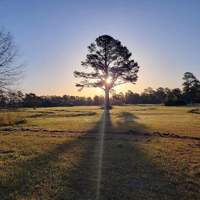 Elysian Fields Park Picture 4