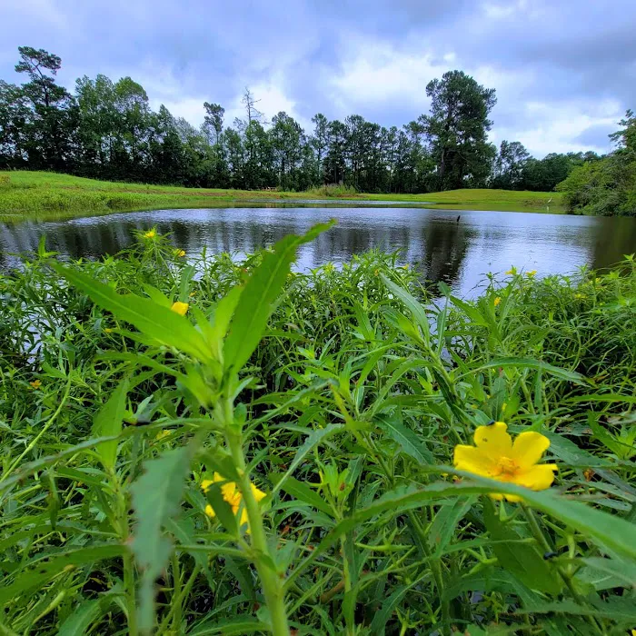 Elysian Fields Park Picture 6
