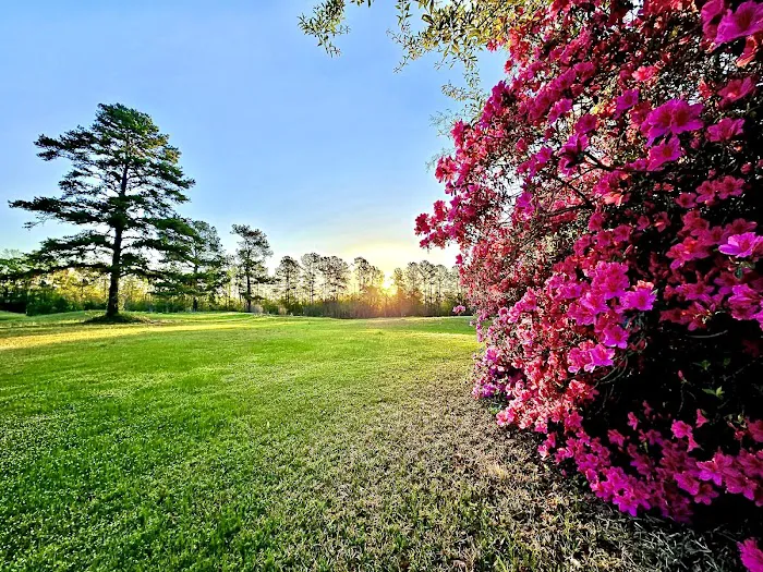 Elysian Fields Park Picture 7