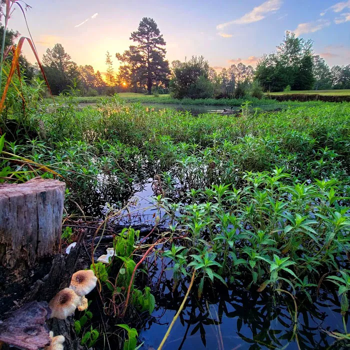 Elysian Fields Park Picture 8
