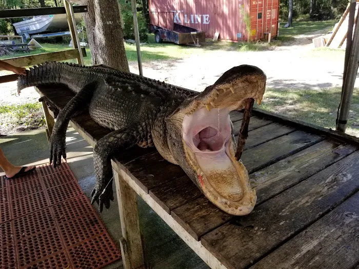 Arrow Head Motel & Campground Picture 3