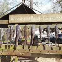 Arrow Head Motel & Campground ico