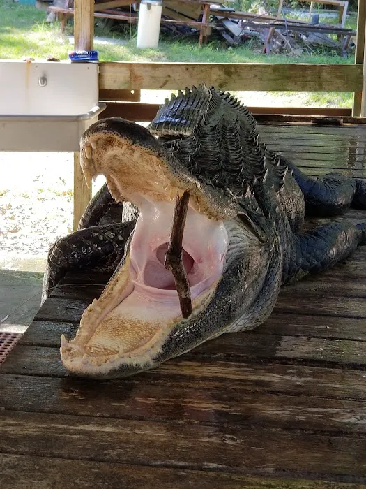 Arrow Head Motel & Campground Picture 4