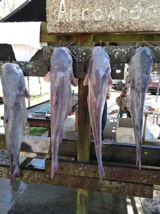 Arrow Head Motel & Campground Picture 5