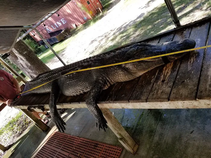 Arrow Head Motel & Campground Picture 8