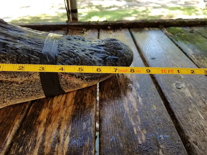 Arrow Head Motel & Campground Picture 10