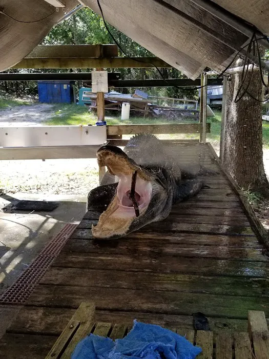 Arrow Head Motel & Campground Picture 7