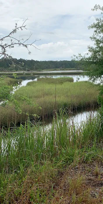 Ace Basin Campground and RV Picture 2