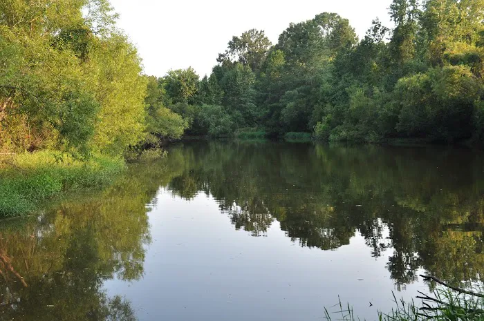 Thousand Trails Oaks at Point South Picture 4