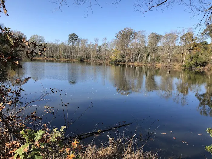 Thousand Trails Oaks at Point South Picture 8