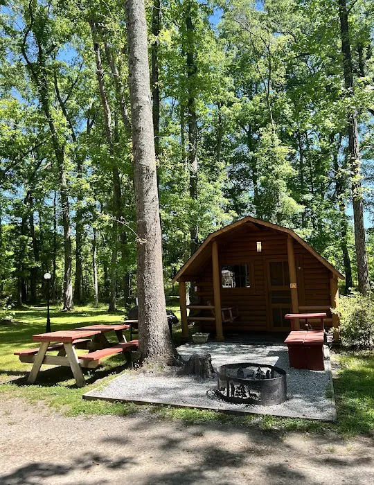 Point South / I-95 / Yemassee KOA Holiday Picture 6