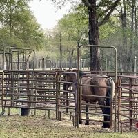 King Creek Campground ico