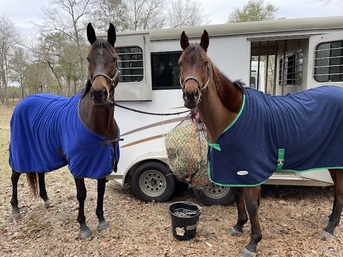 King Creek Campground Picture 5