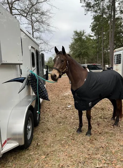 King Creek Campground Picture 4