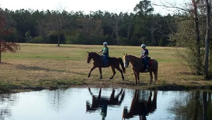 King Creek Campground Picture 3