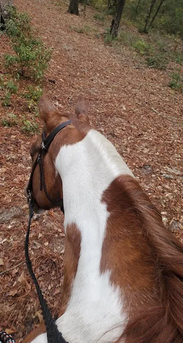 King Creek Campground Picture 8