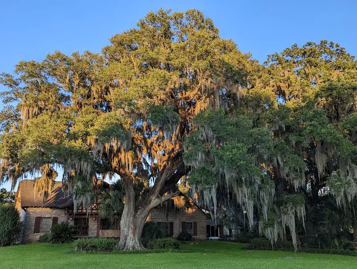 Oak Plantation Camp Ground Picture 8