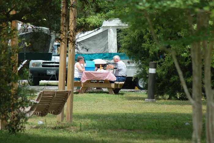 Campground at James Island County Park Picture 8