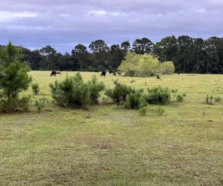 Hanscombe Point Primitive camp ground