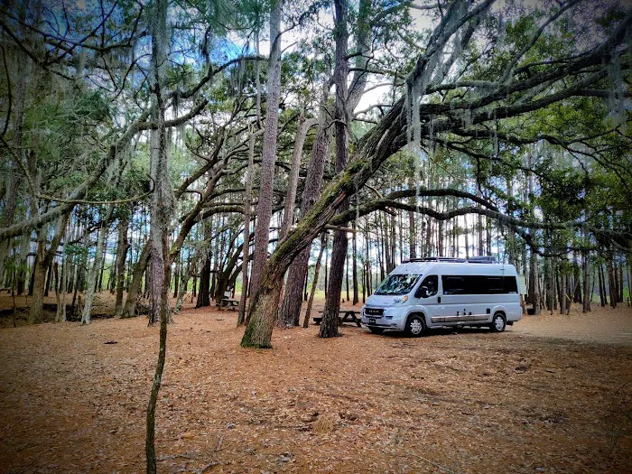 Hanscombe Point Primitive camp ground Picture 2